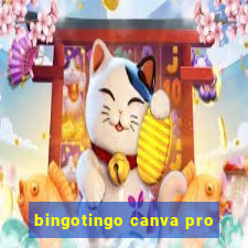 bingotingo canva pro